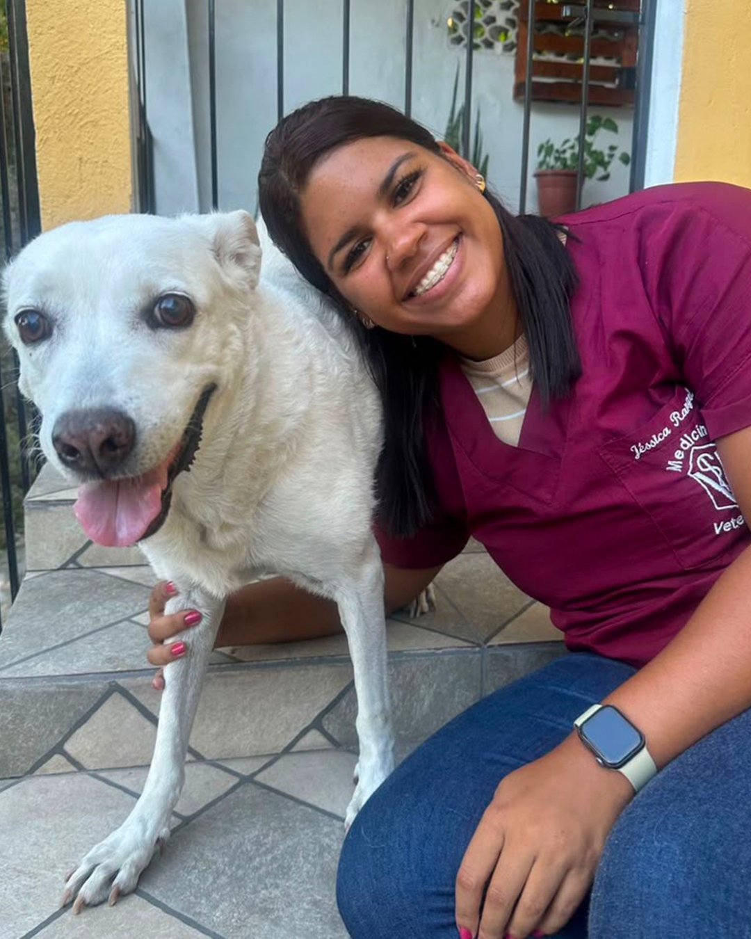 vacina-veterinaria-importada-caes-domicilio.webp